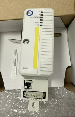 ABB SM811K01 3BSE018173R1 An toàn mô-đun đơn vị xử lý trung tâm toàn vẹn cao