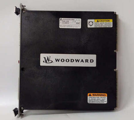 5466-258 Mô-đun I/O rời rạc SIMPLEX Woodward với 48 kênh đầu vào 24 kênh đầu ra và thay thế theo thời gian thực