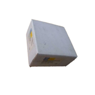 IC200ALG264 Ge Fanuc Versamax Micro Controller 15 Bit Dòng 15 Kênh